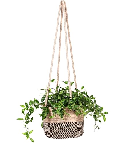 Amazon.co.jp: iimono117 ハンギングプランター 植木鉢 吊り下げ 室内